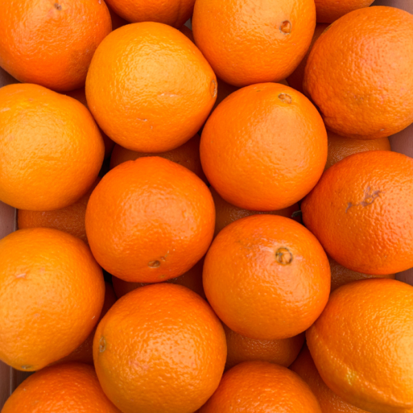 Orange 8 Stück (~2350 g)