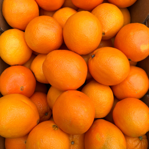 Orangen für Saft 15 Stück (~2600 g)