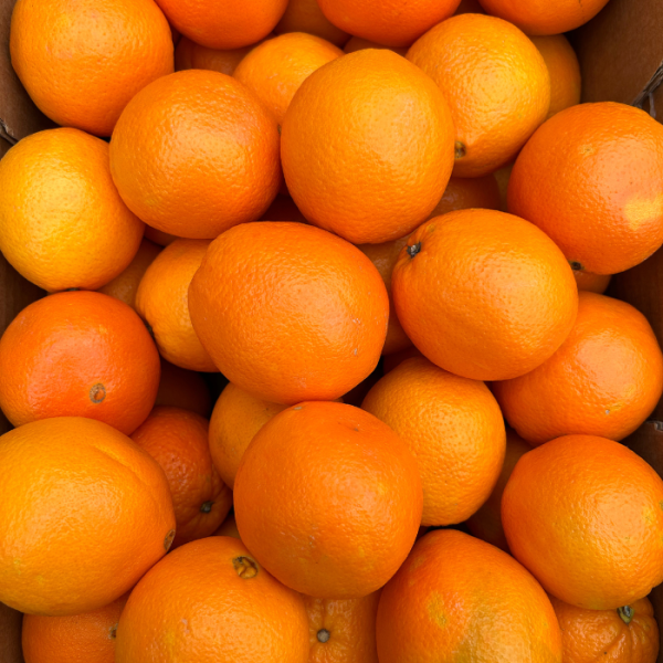 Orangen für Saft 15 Stück (~2600 g)
