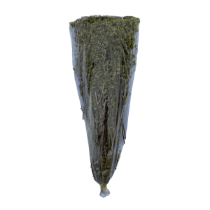 Wilder Oregano vom Taygetos